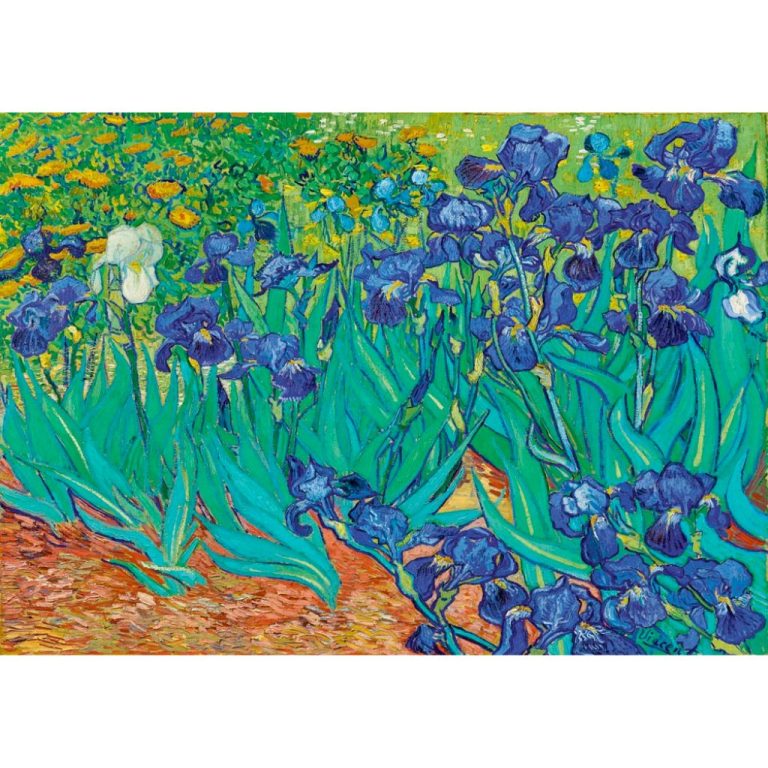 Notte Stellata di Van Gogh Art Puzzle 1000 pezzi (25-B5070
