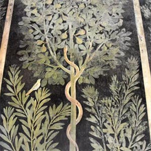 Domus Del Frutteto Dettaglio
