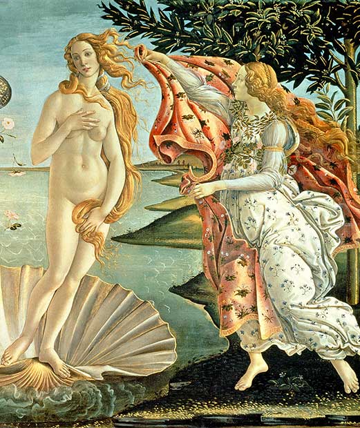 La Venere Botticelli