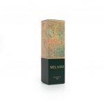 Puzzle Milano Mappa Antica (1)